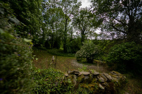 Photo du parc avec des arbres et une mangeoire pour oiseaux